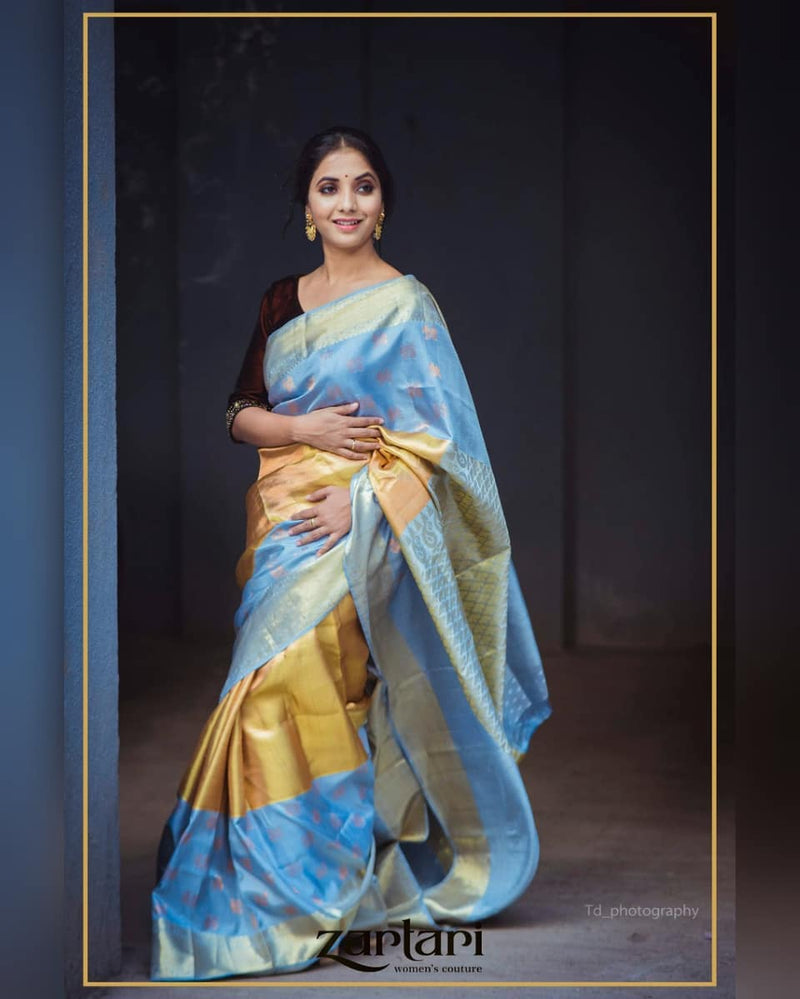 Sayali Sanjeev in Zartari Pure Silk